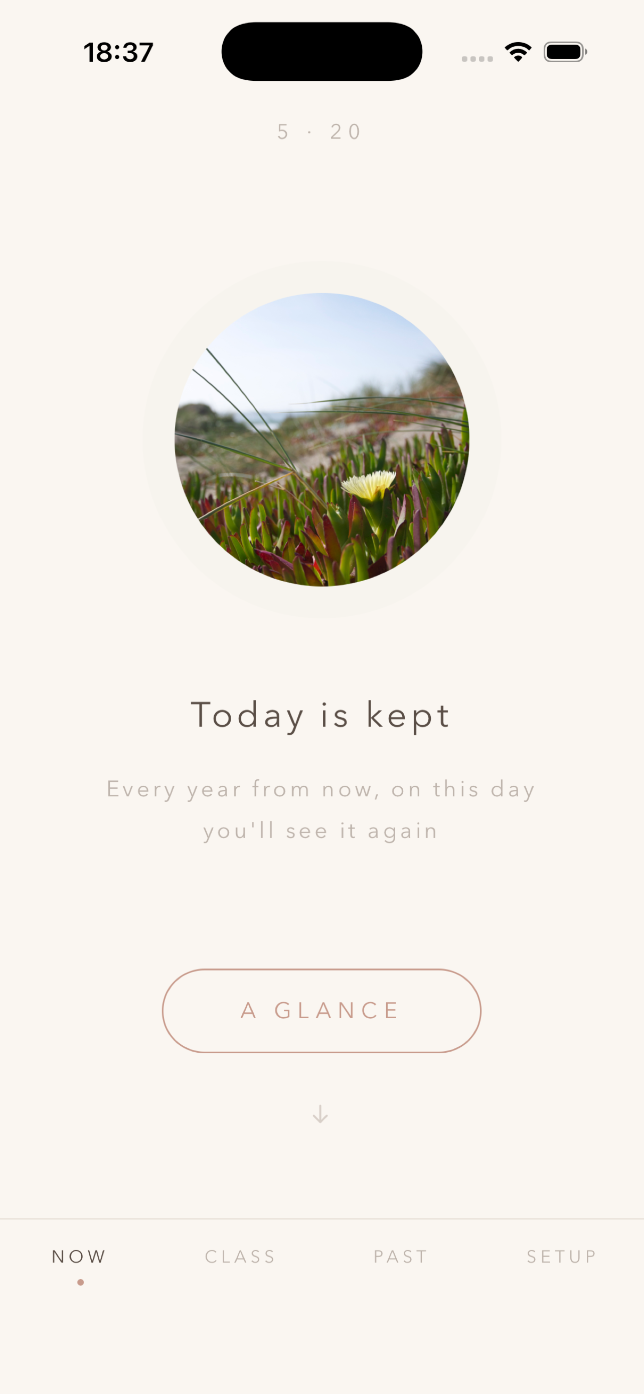 Today kept, a small flower added